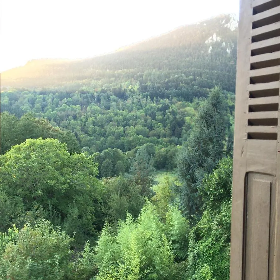 Hébergement de vacances Villa Montsegur Retreat France